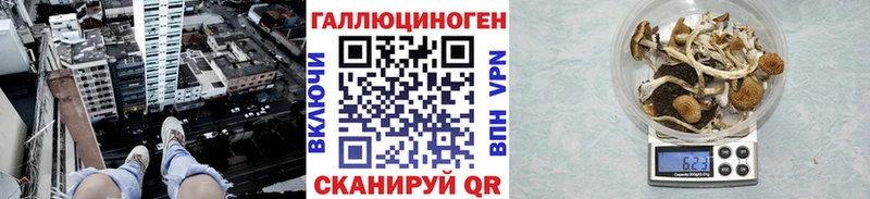 дарк нет телеграм где купить наркотик Александровское Псилоцибиновые грибы Psilocybe